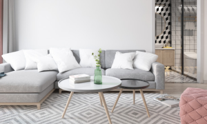 imgi_63_asset-15-300x180
