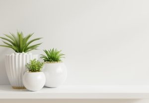 imgi_79_asset-27-300x208